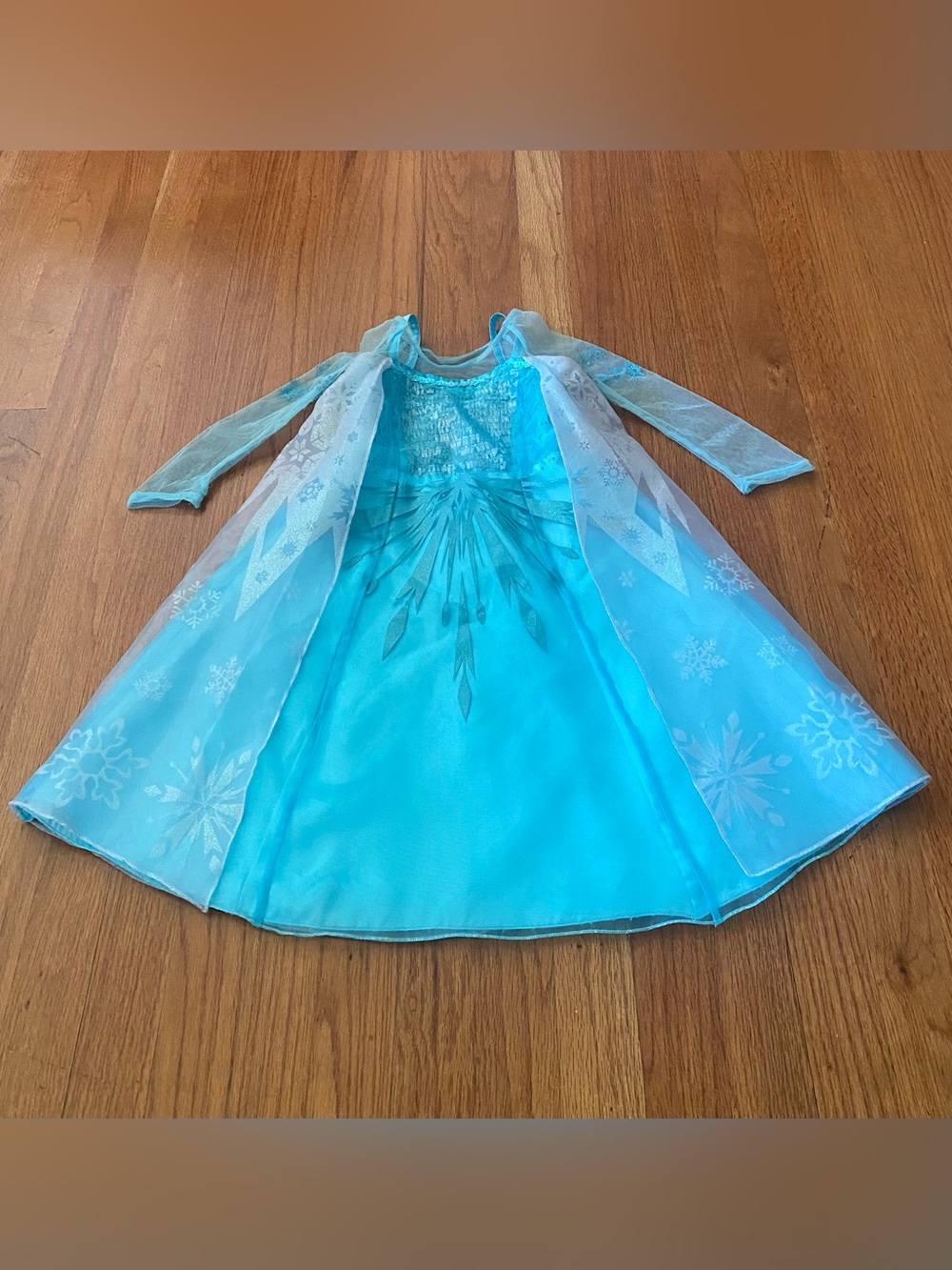 Disney Store Princess Elsa Frozen Dress Costume